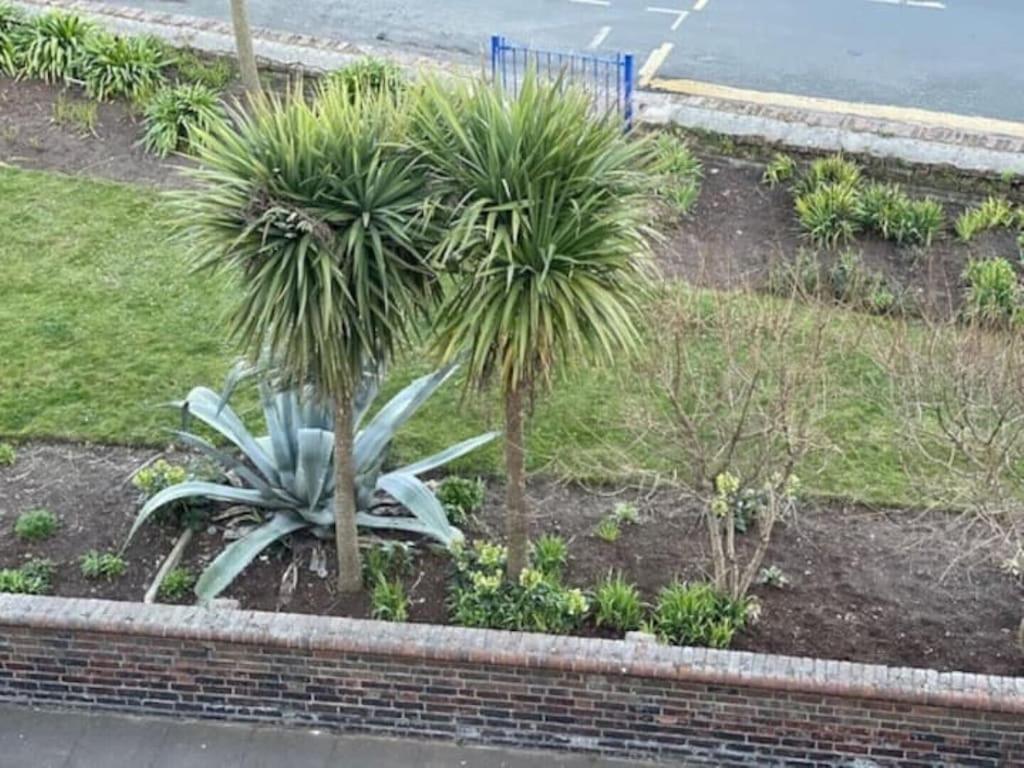 "The Quirky" Seafront Apartment Eastbourne Exterior photo
